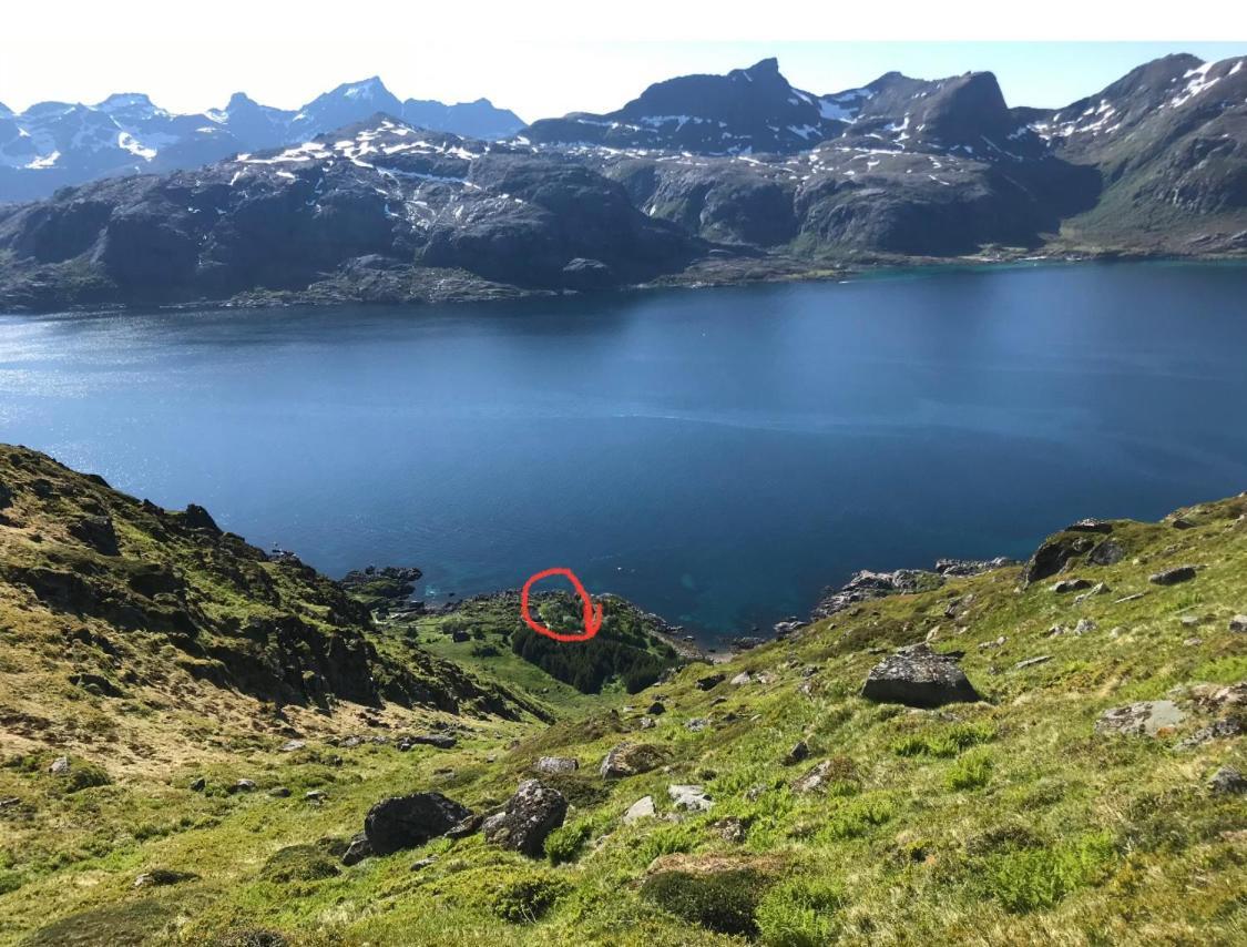 Vettinghytta, Close To The Sea With Amazing View. Gravdal  Exterior photo
