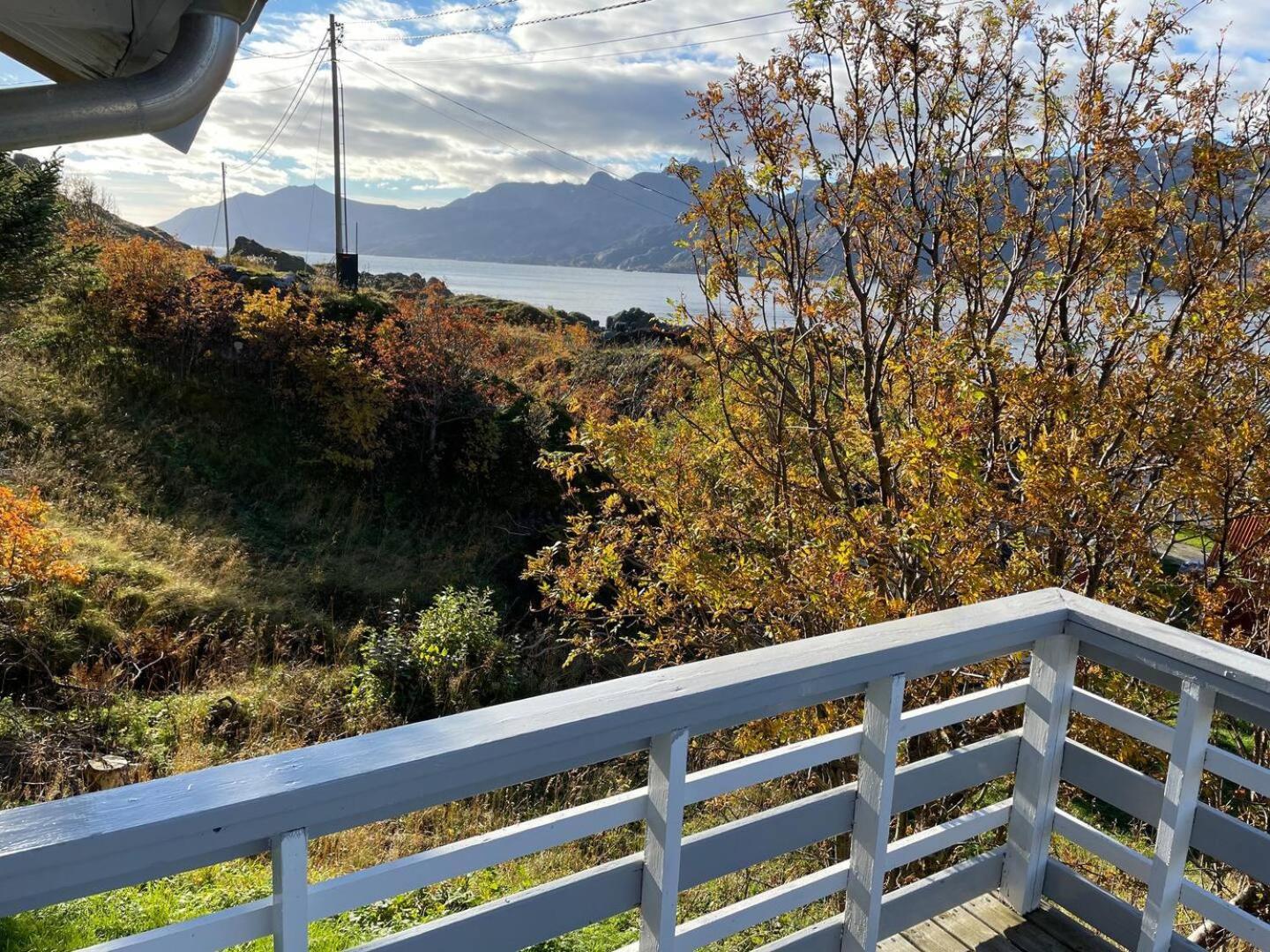 Vettinghytta, Close To The Sea With Amazing View. Gravdal  Exterior photo